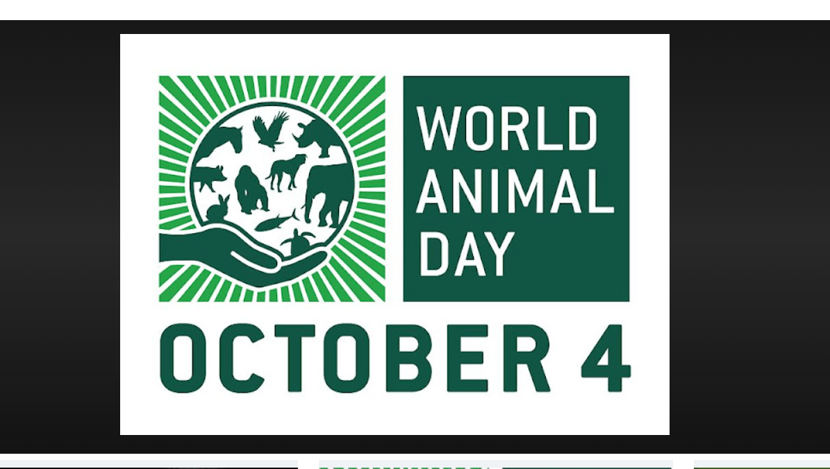 World Animal Day 4th October